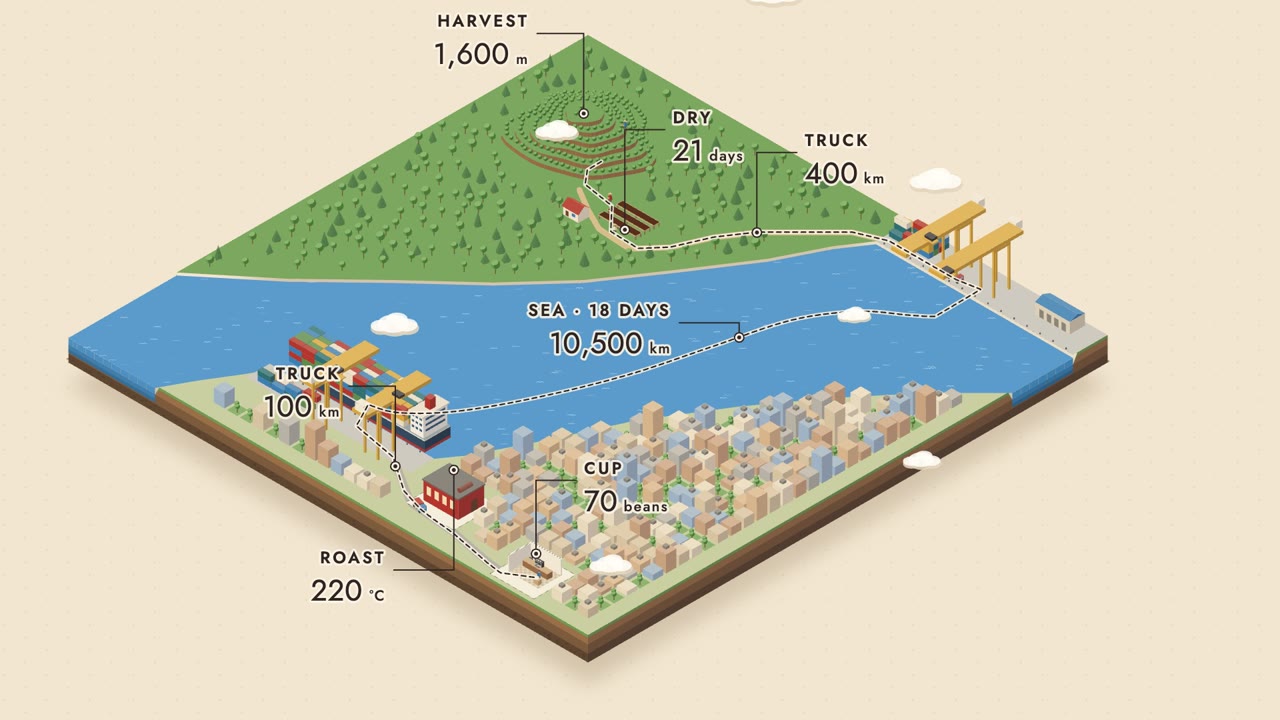 Isometric Infographic — From Bean to Cup
